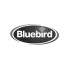 Bluebird 蓝鸟